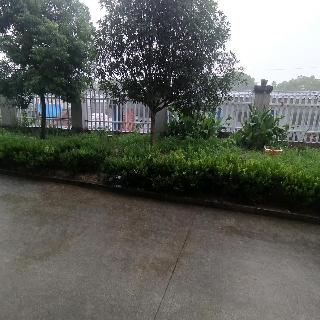 绍兴办移动宽带修网络故障