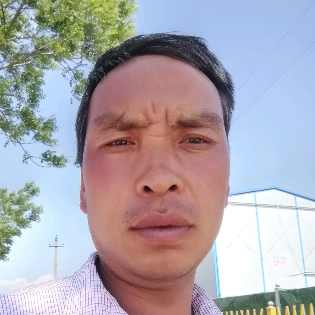梦影成飞