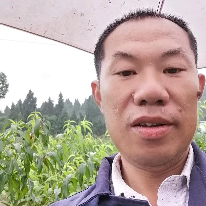 慢慢的人生，伤心的路