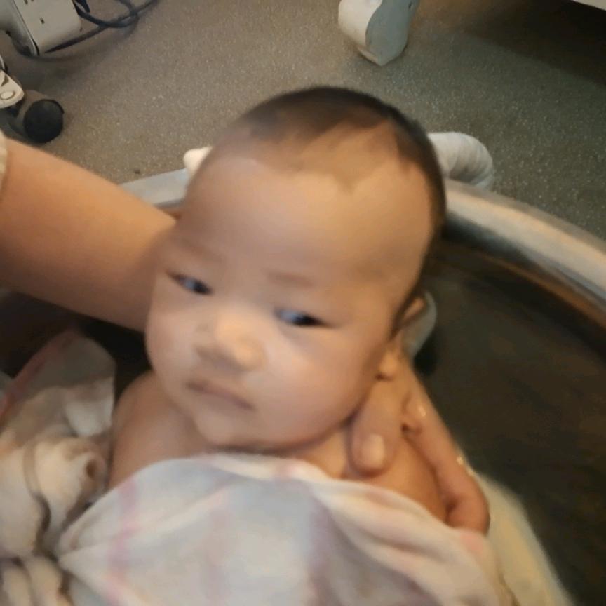 农夫院子