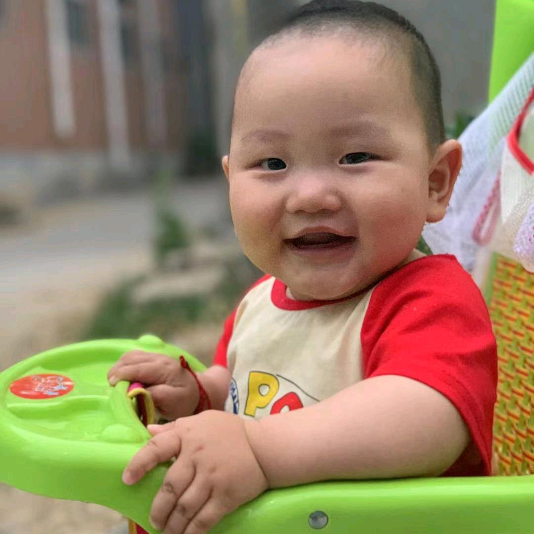 桔子红了啊哈哈哈