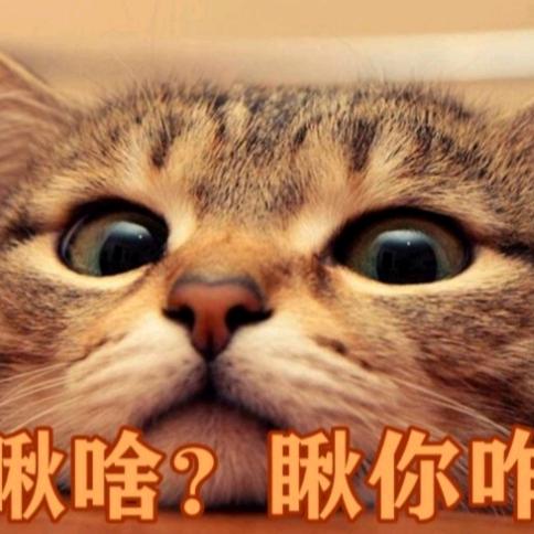 聆听雨声