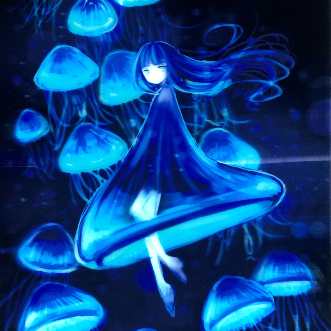 月光水母