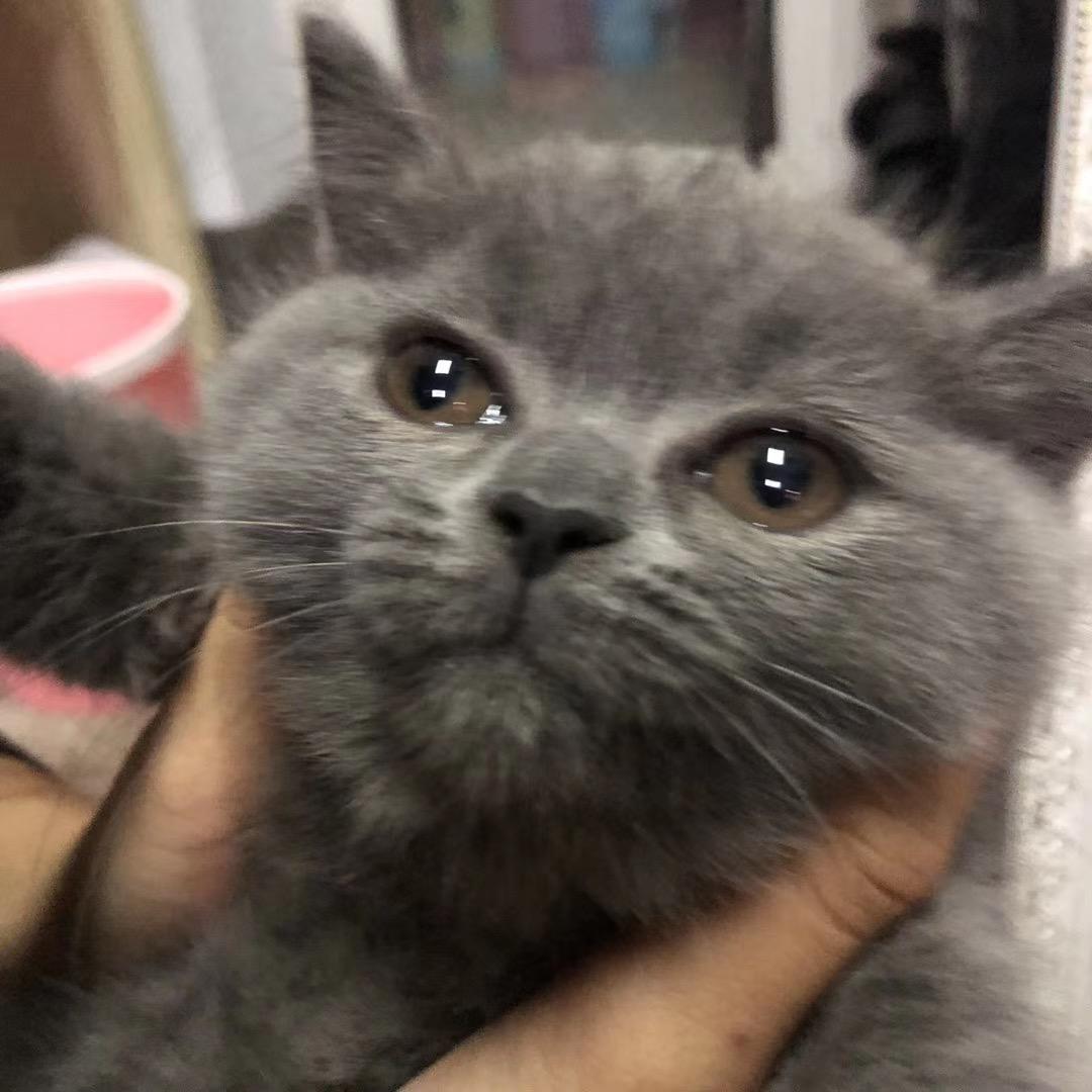 ^_^