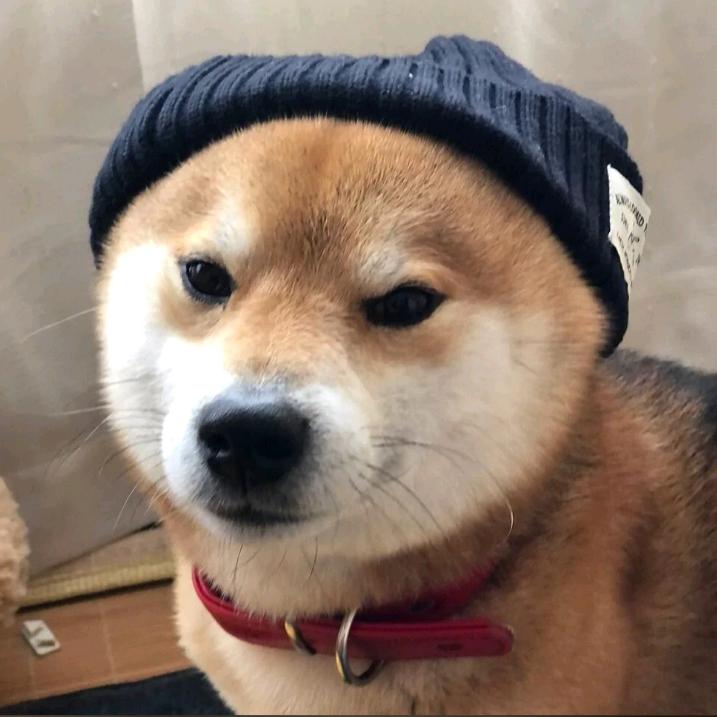 无题雪