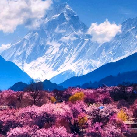 岁月神偷