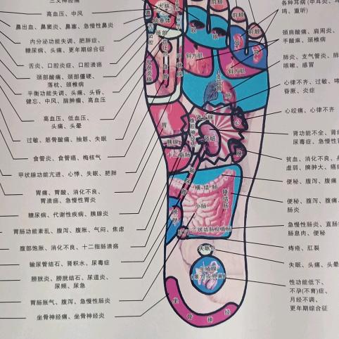 用户9477747859040