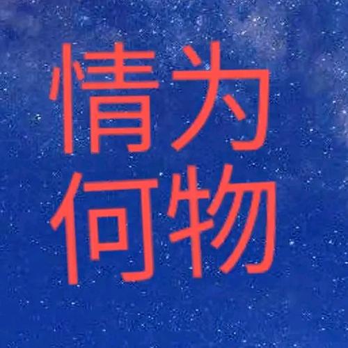 独宠慕慕