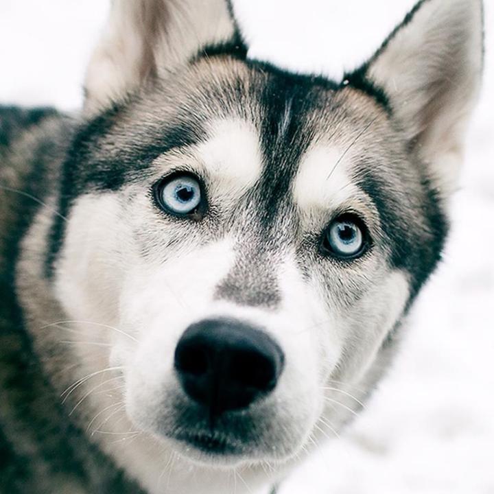 独往^