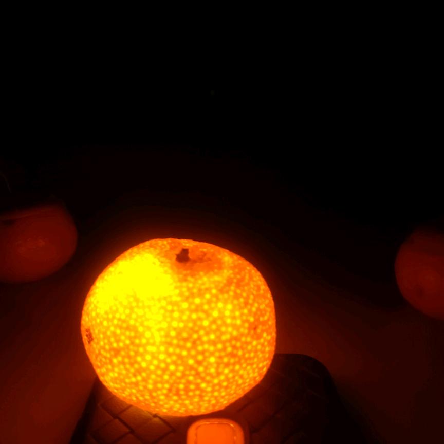 不知道，我真的不知道