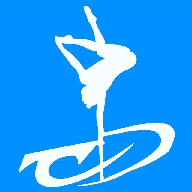 天津市杂技艺术有限公司