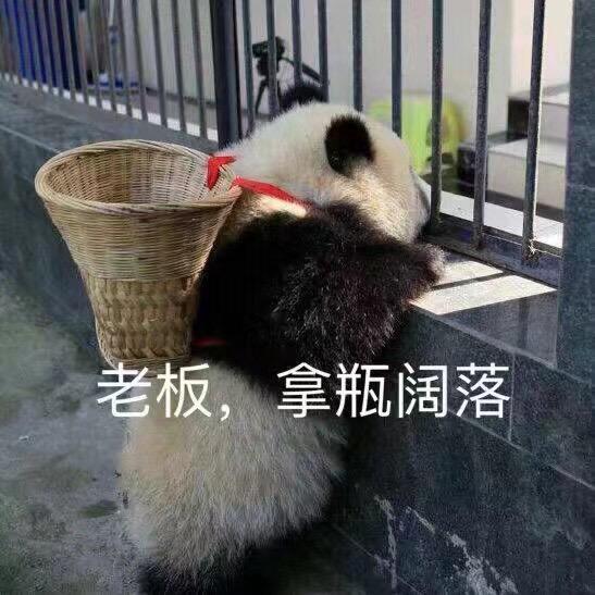 个锤子