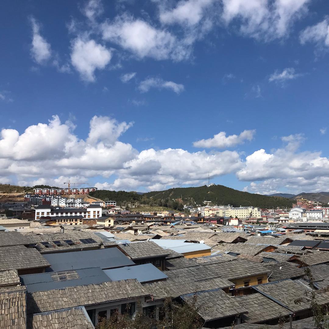 小橙子