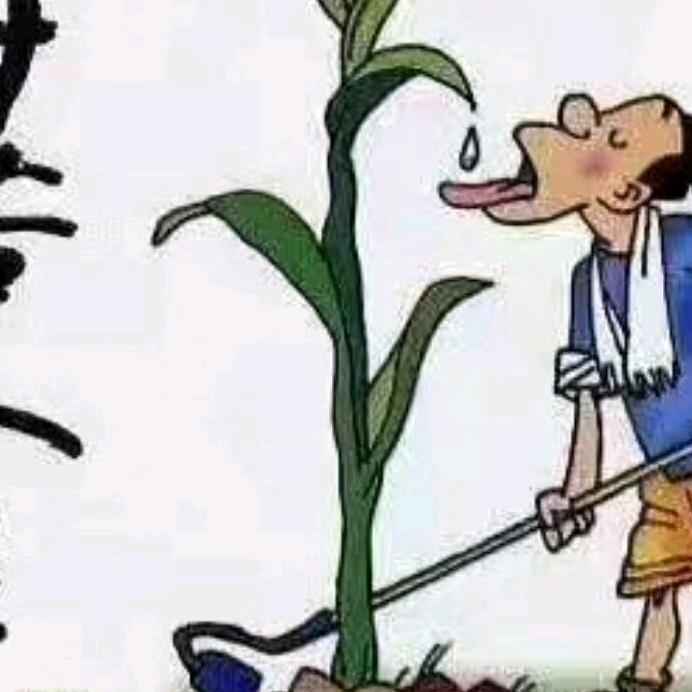 感恩遇見