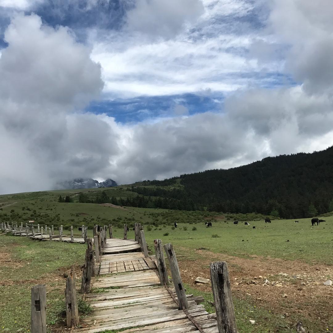 真的善良才伟大