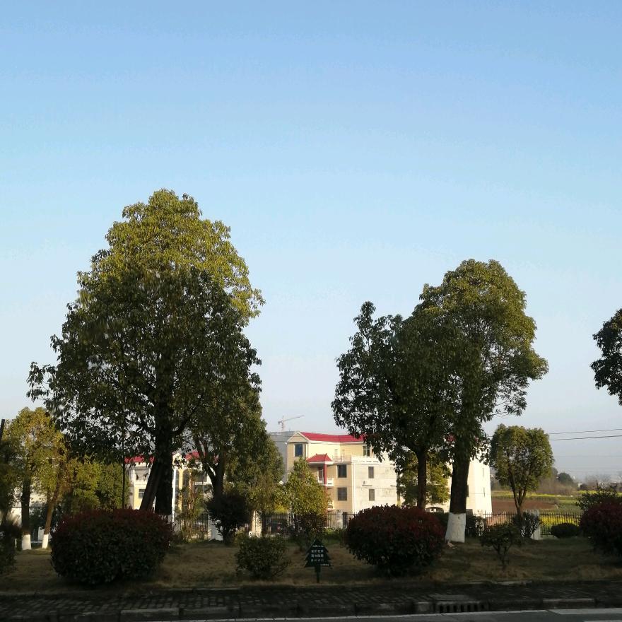 别惹我