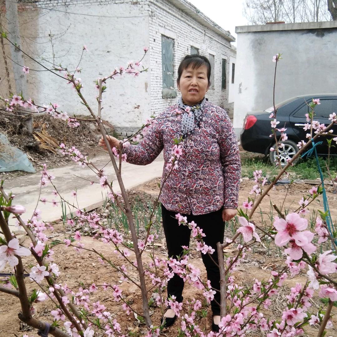 英头像
