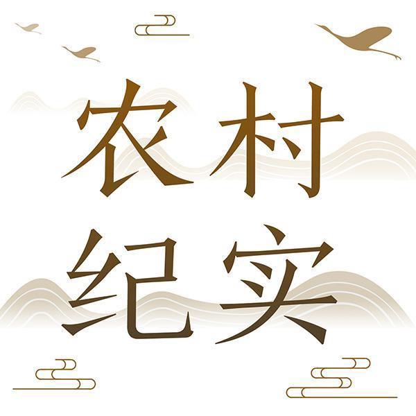 农村纪实（纯粮原浆）