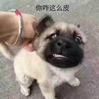不朽不羞
