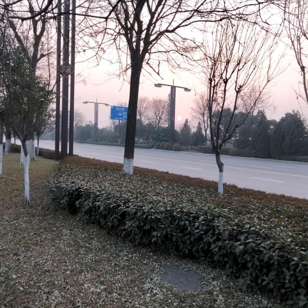 老马