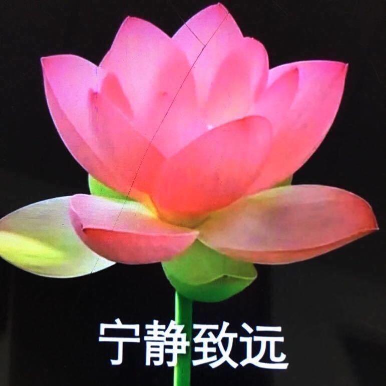 早晨的晨