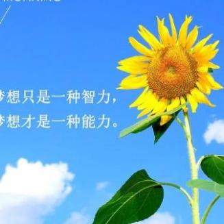 一枝梅my