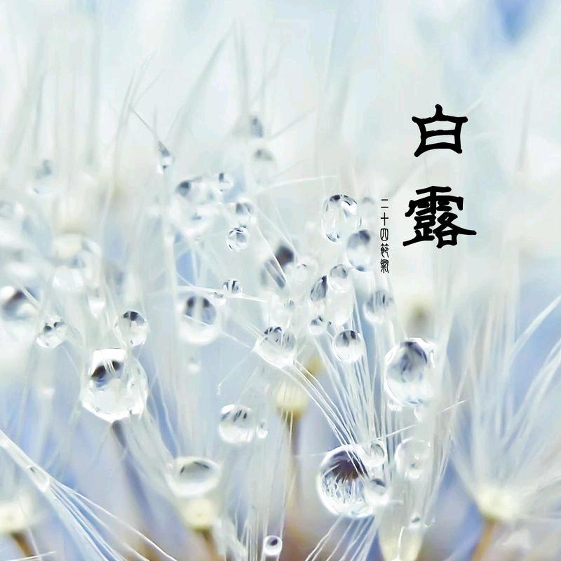 陌上花开