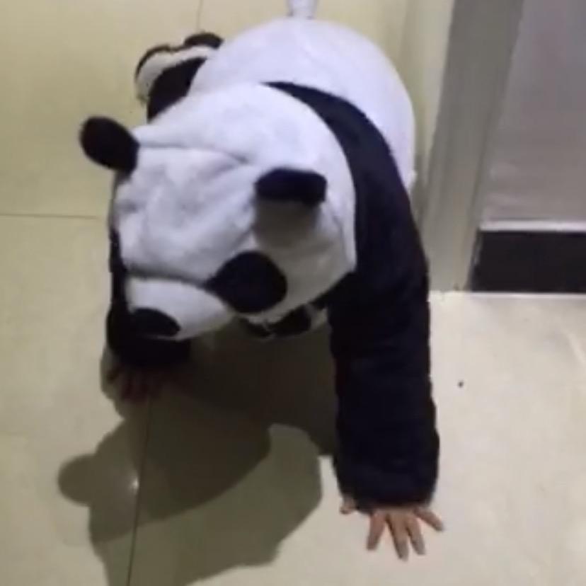 舍得