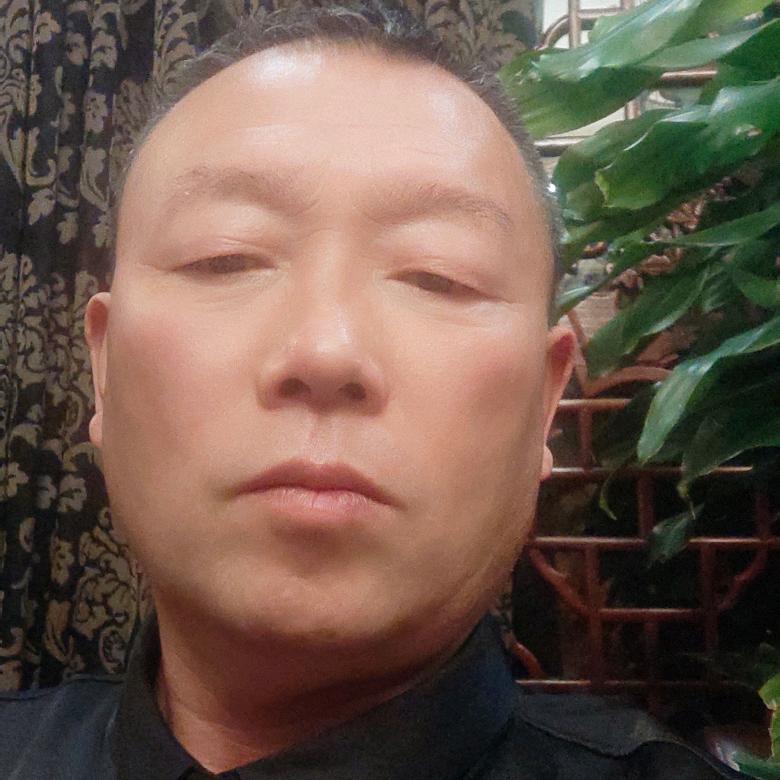 丛林中的小石头