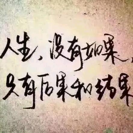 杉木董✪游子✪