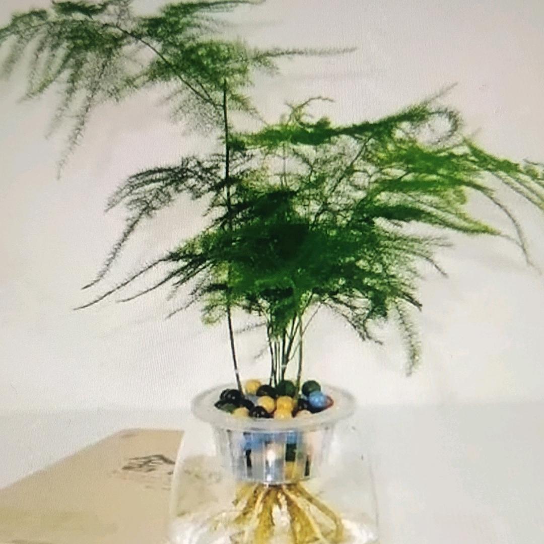 人生如梦不是梦