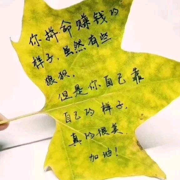 宠儿飛