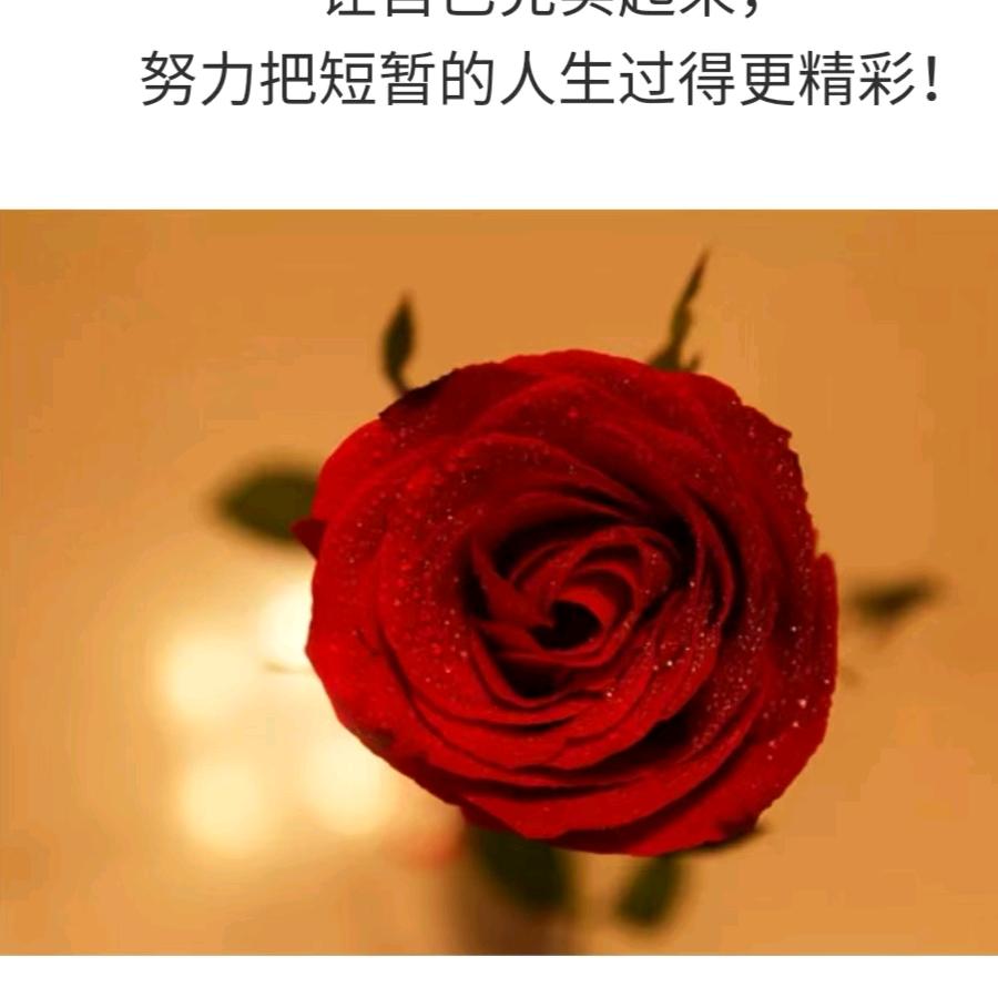 相约幸福