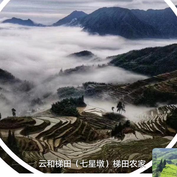忙碌半生，