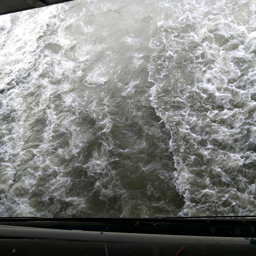 ໑ຼₒ₂₄ღ᭄感谢有李🦋꧔ꦿ᭄