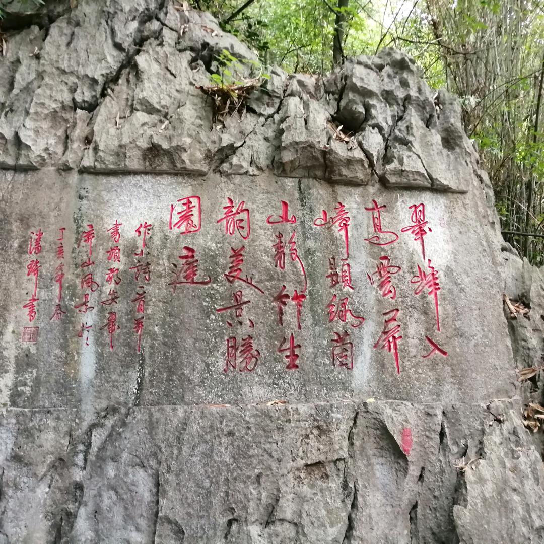 来生缘
