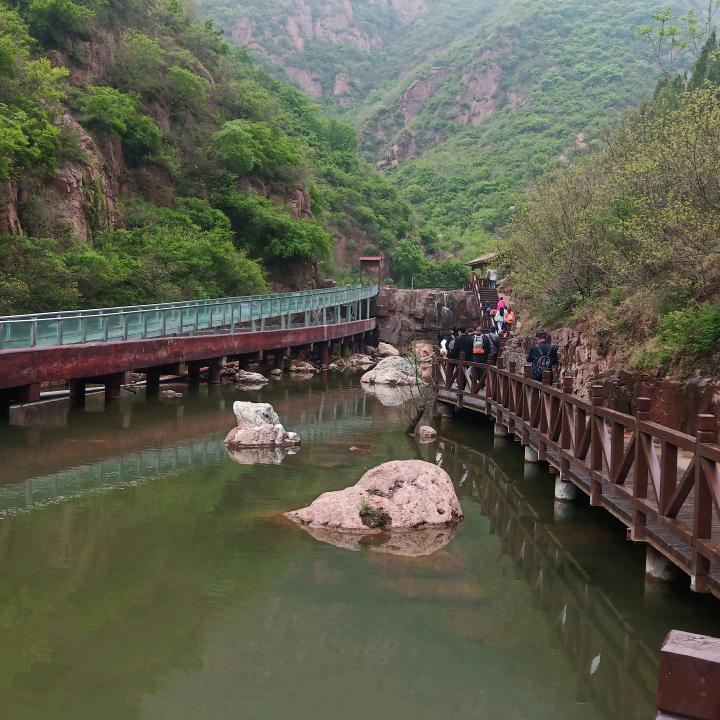 平常心349002444505