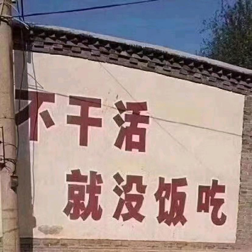 东北赵xiao糖