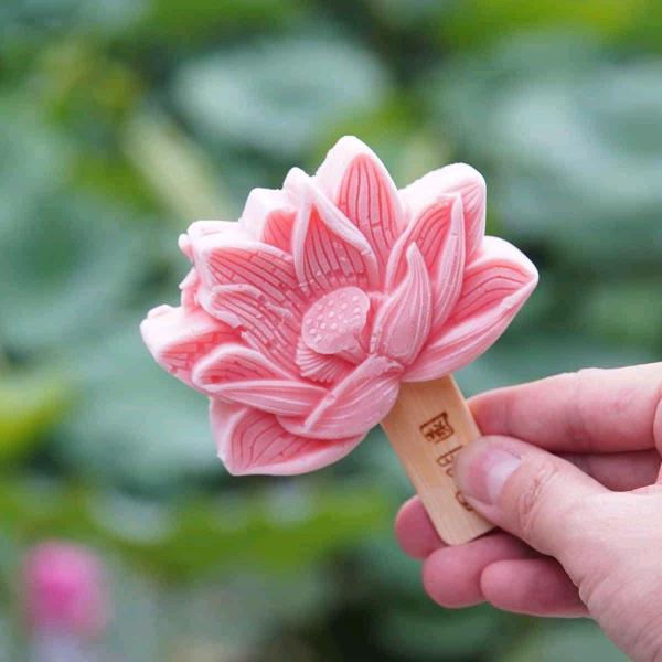 人生过客，（索南卓玛）