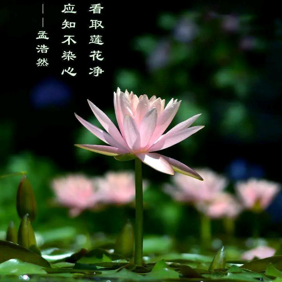 &&&未来可期&&&am