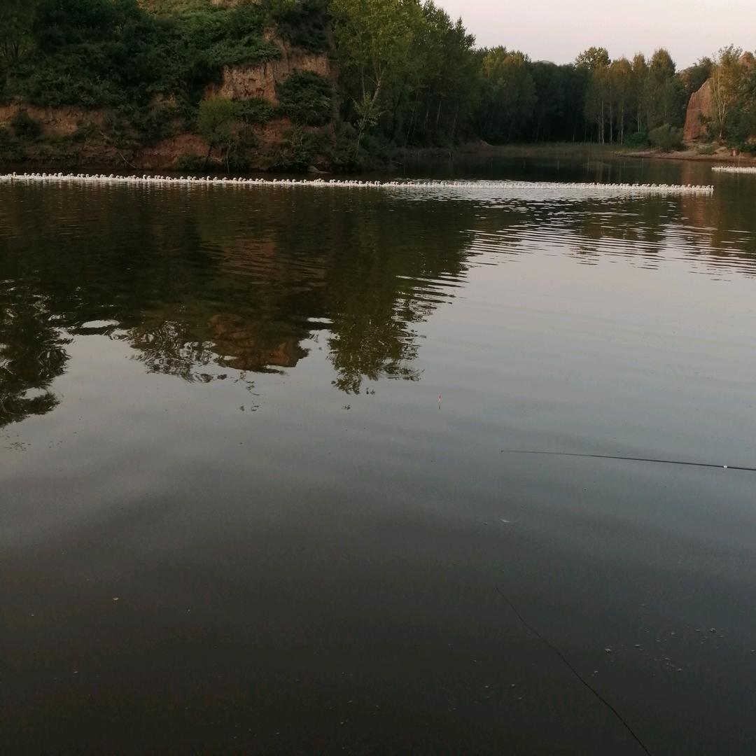 坦荡