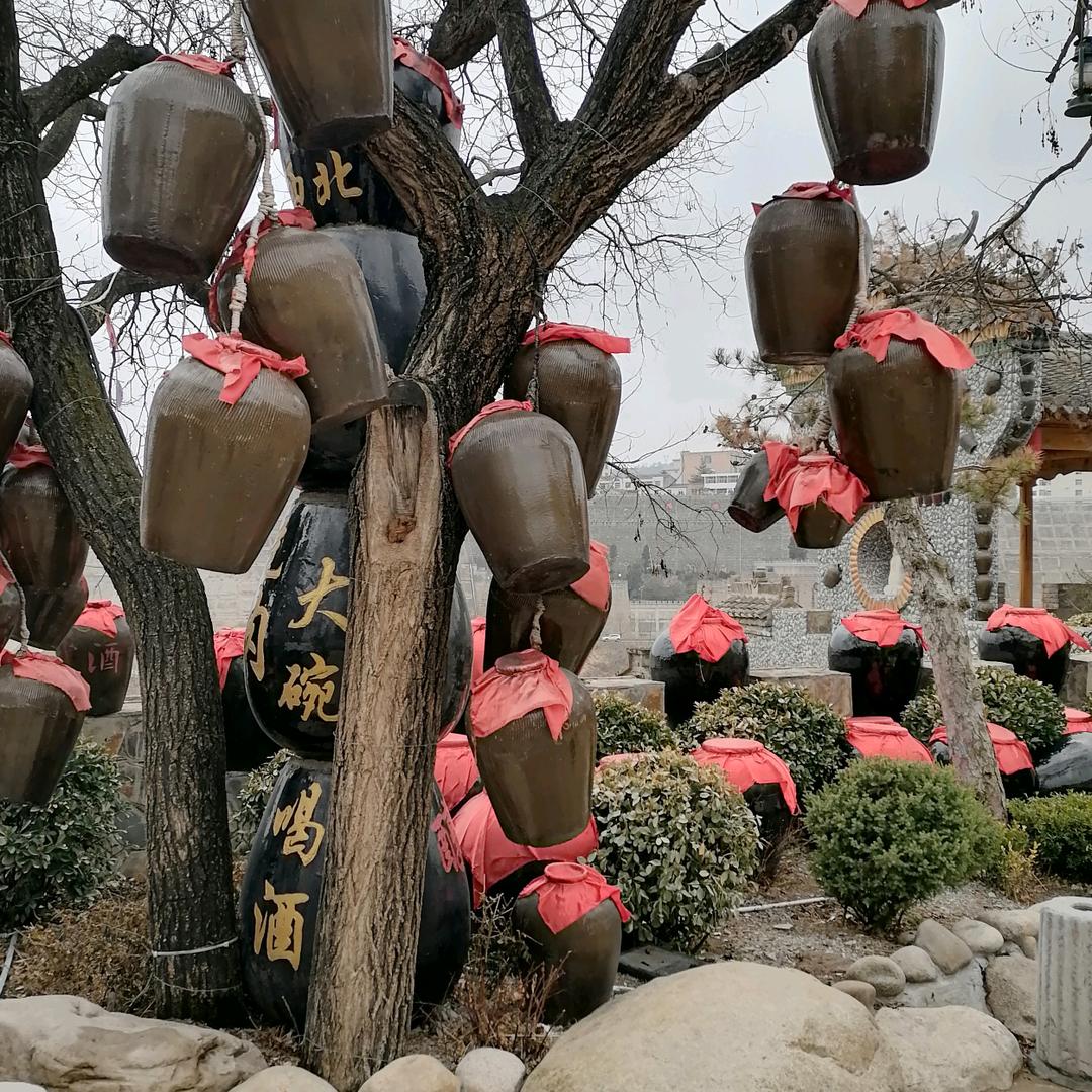 💤一生有缘💤