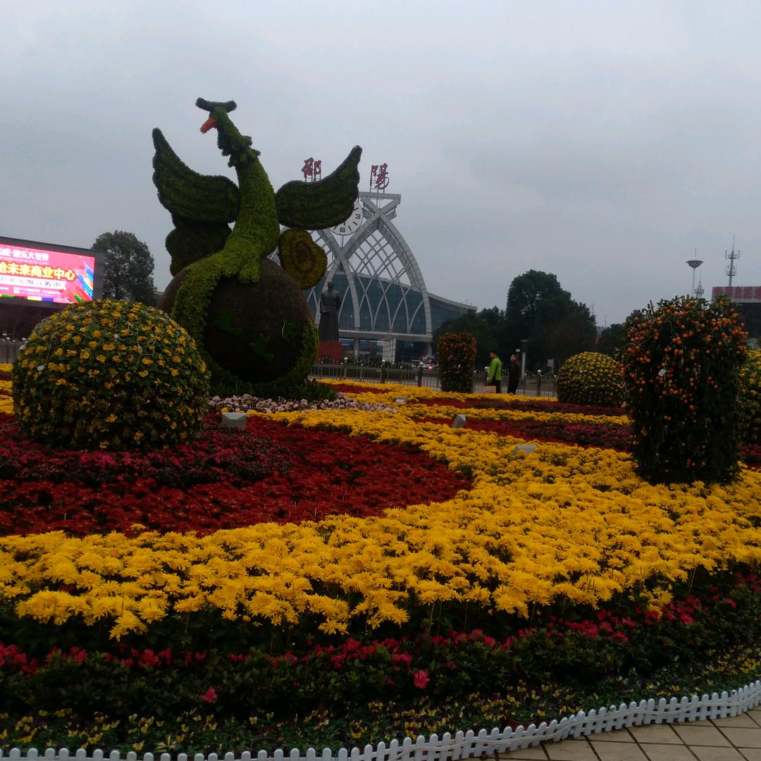 🌷邵阳县大杉市的老乡🌷