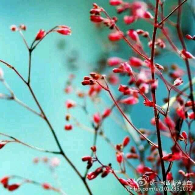 @简单的幸福