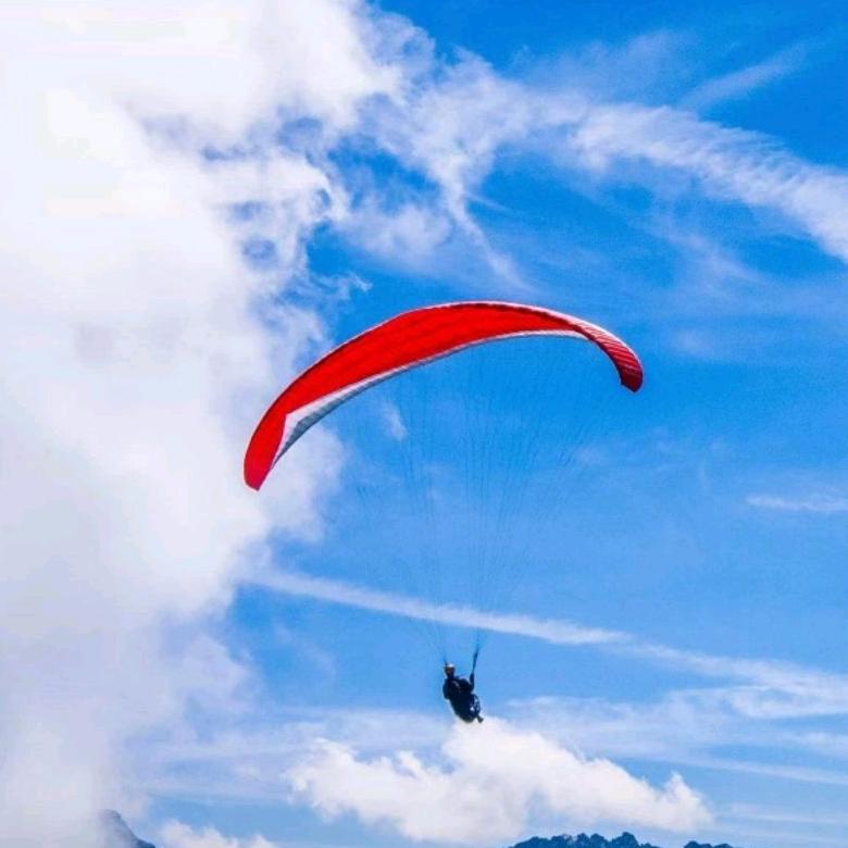 用户1901087112826，开心幸福