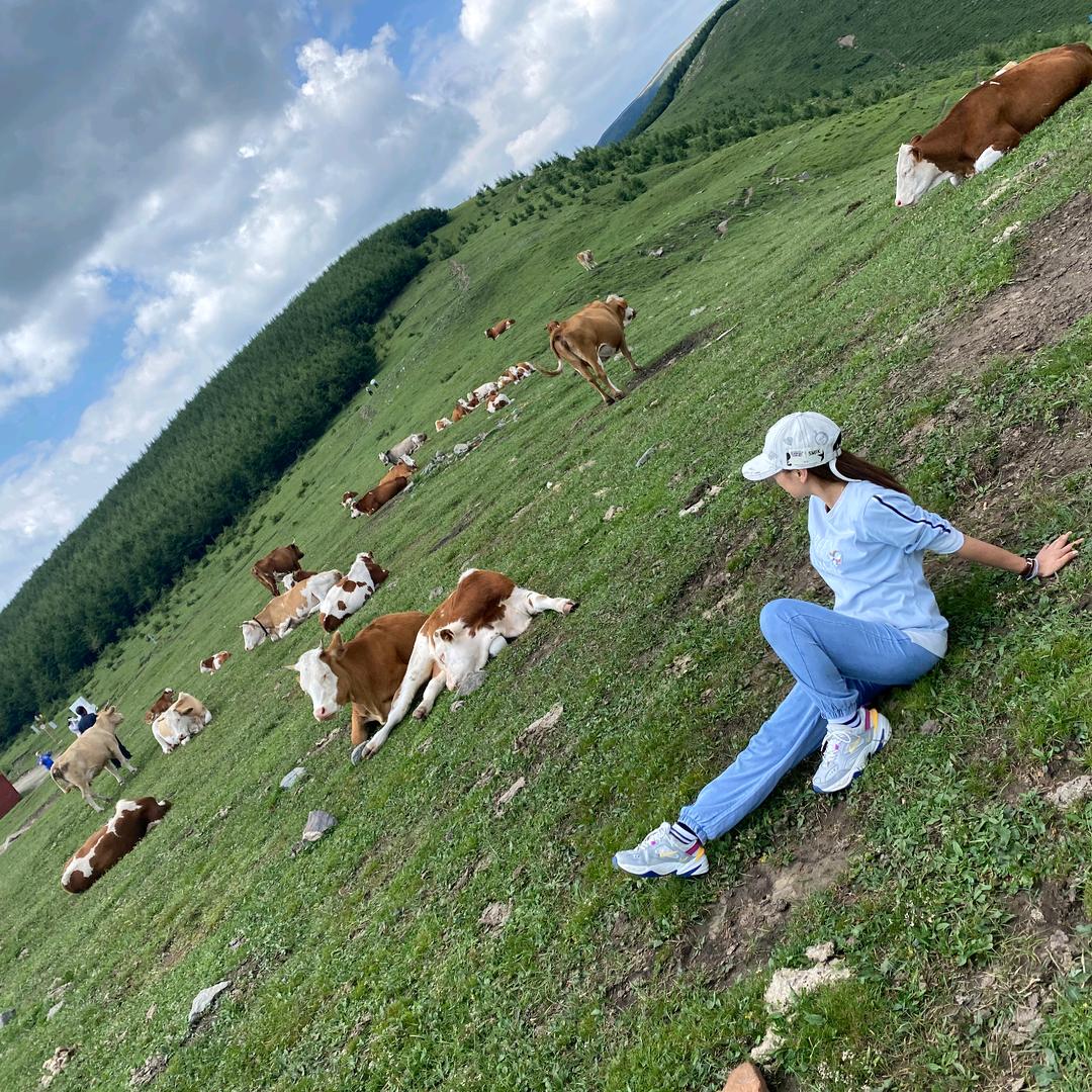 王岗地产楊楊
