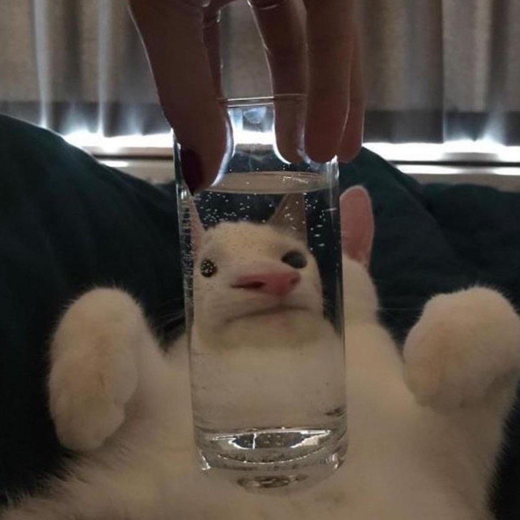 壹壹粒
