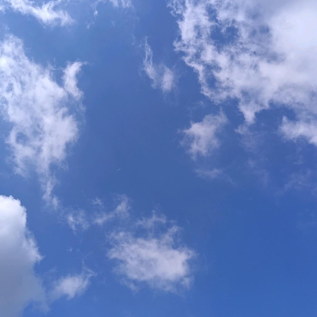 甜蜜蜜