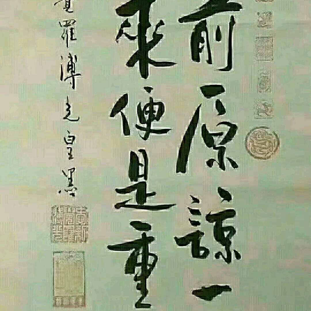 鶭颬䶵龔㽬