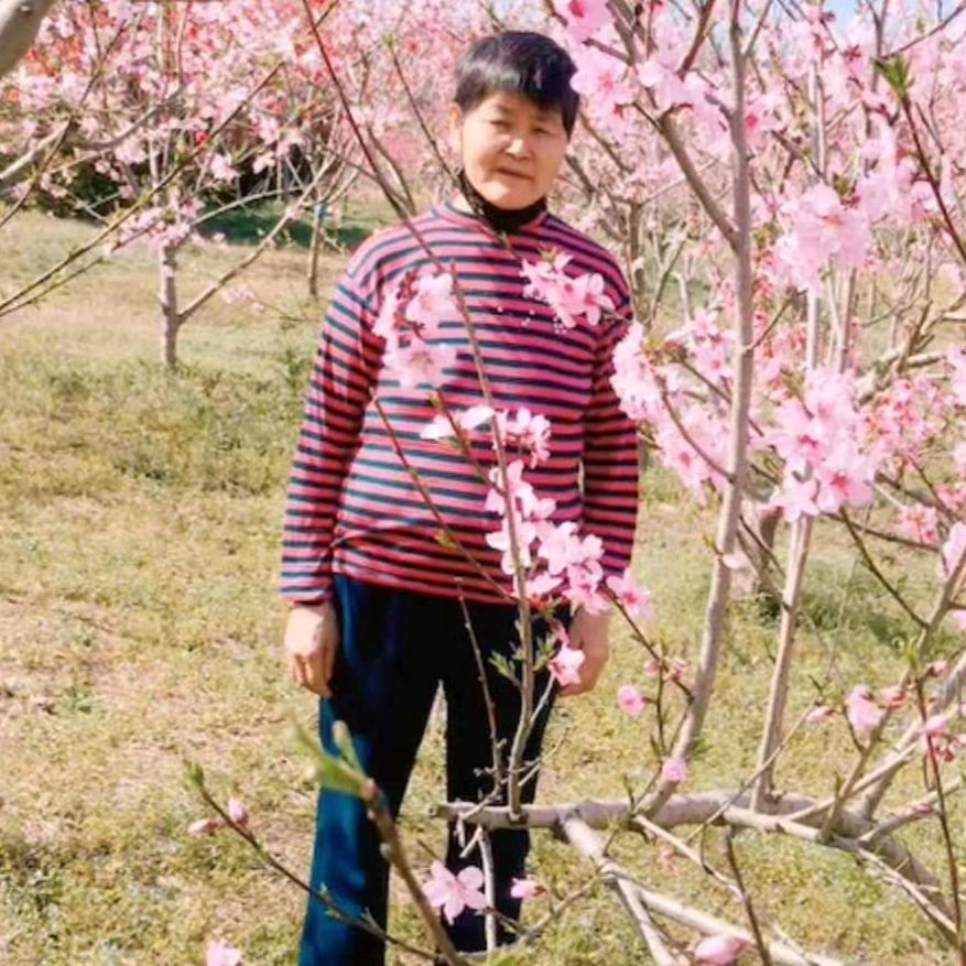 杨元芳